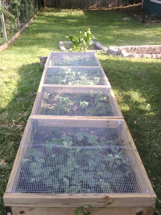 Клубника: как только не сажают эту ягоду Клубника: как только не сажают эту ягоду поделки для сада