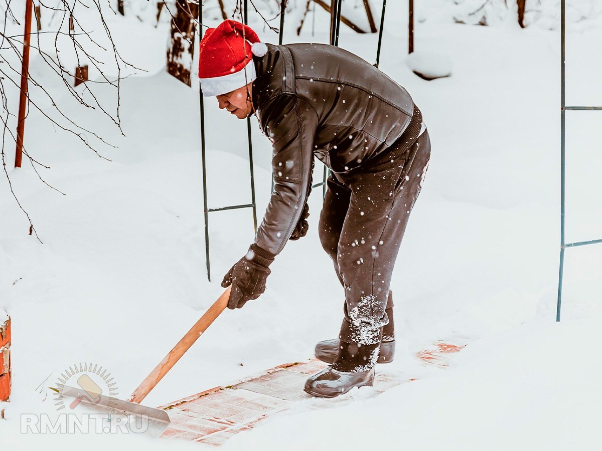 Защита сада и огорода от морозов: утепление снегом дача,сад и огород,садоводство