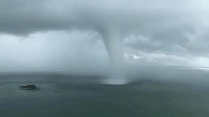 Шутки за 300 от матушки-природы Шутки за 300 от матушки-природы деревья ,интересное, природа , природные явления, растения, шутки