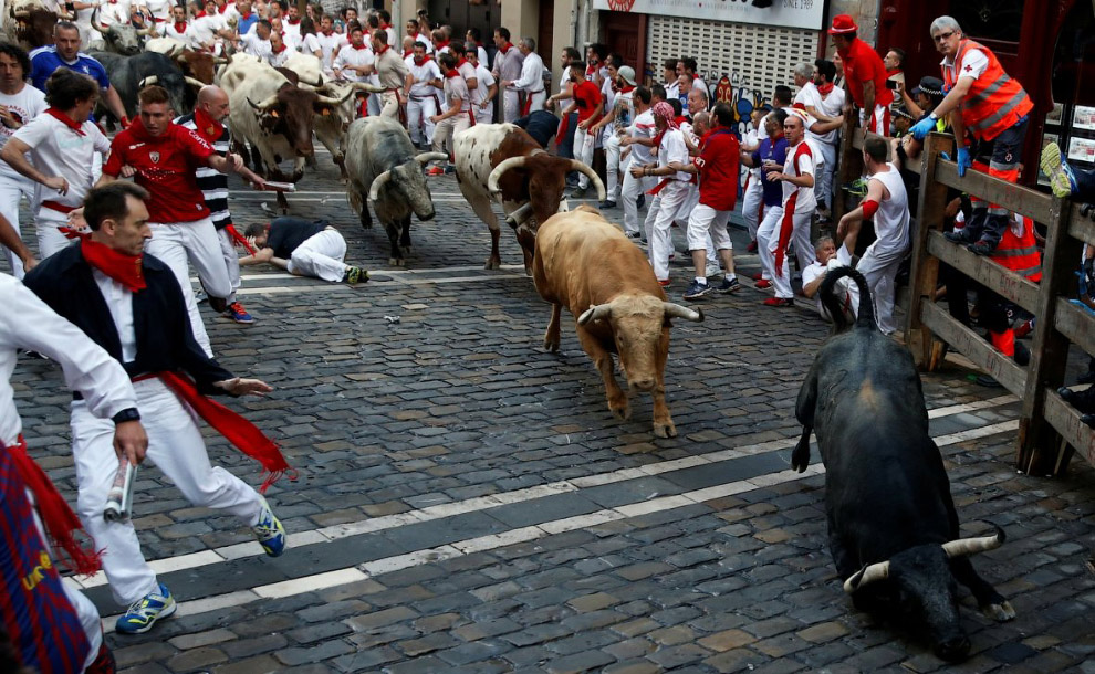 Как прошли ежегодные бега быков в испанской Памплоне