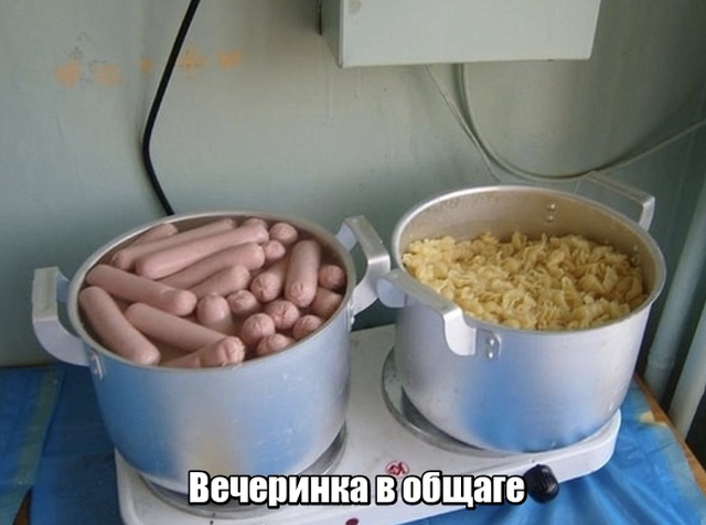 Подборка смешных картинок  смешные картинки