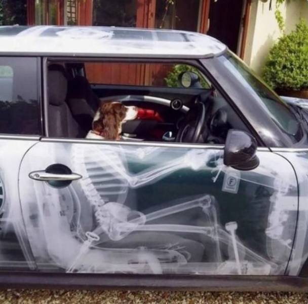 Фотоподборка вторника 