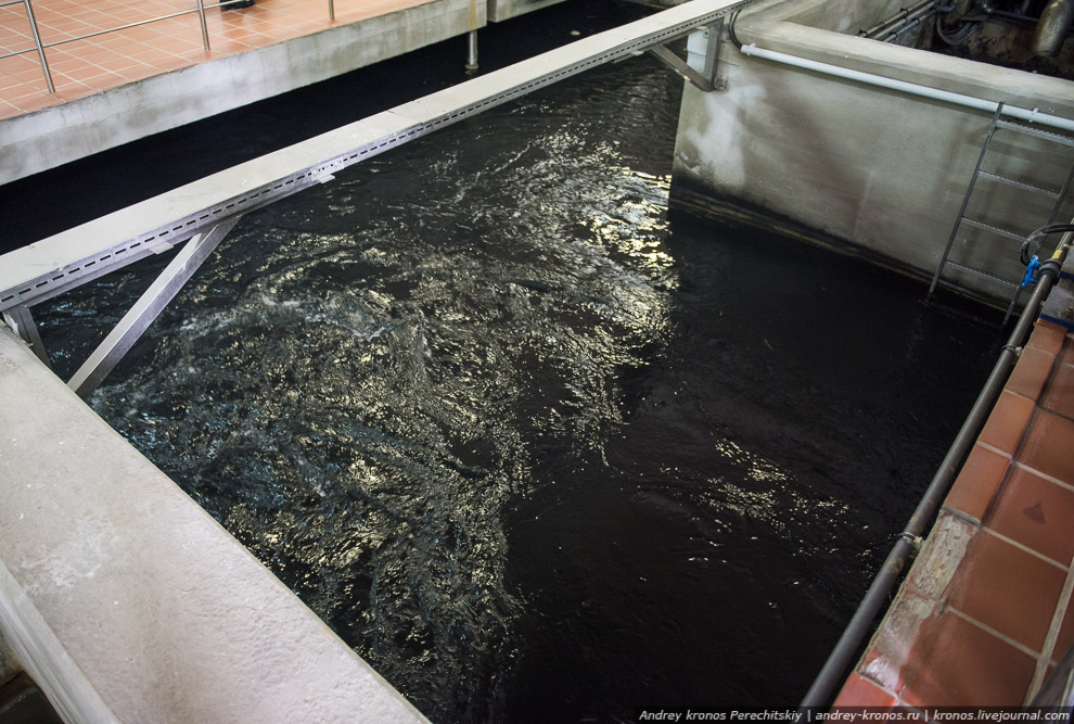 Как очищают воду, которую мы пьем Путешествия,фото