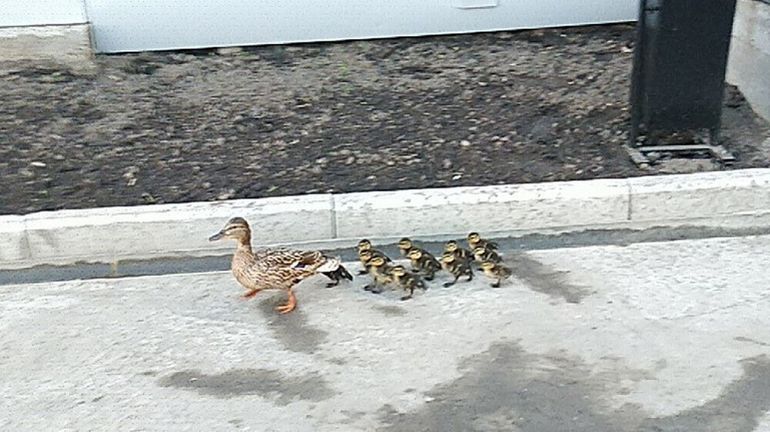 Подборка веселых и интересных картинок авто и мото,автоновости,автоюмор