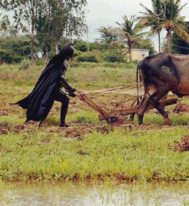 Подборка смешных картинок  смешные картинки