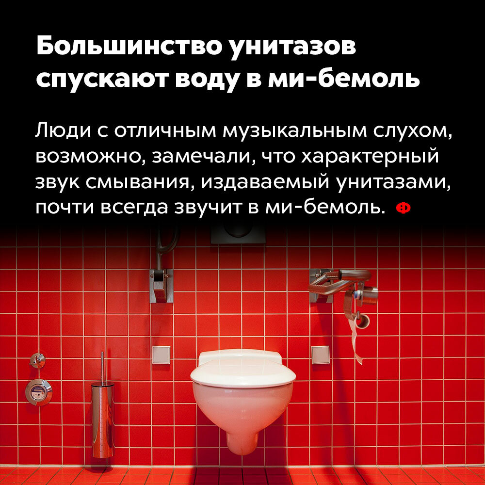 Чем опасна открытая планировка гостиной и на какой ноте «поют» унитазы: 7 удивительных фактов знали, унитазы, «поют», мибемоль  