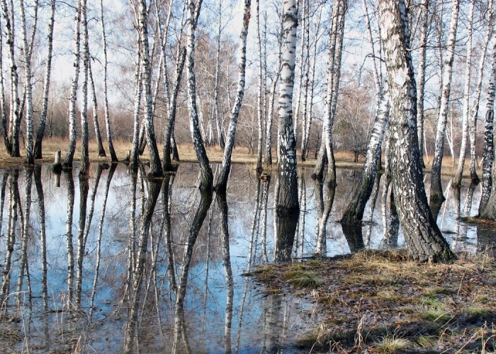 славянская русалка