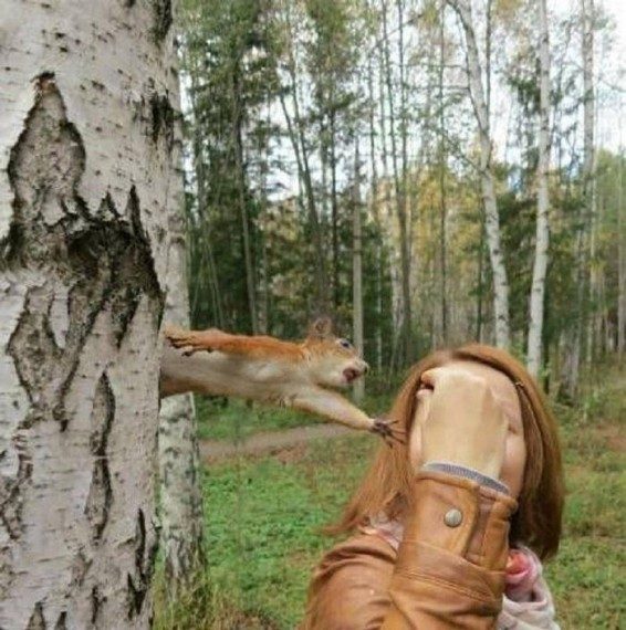 На позитивной волне! На позитивной волне!