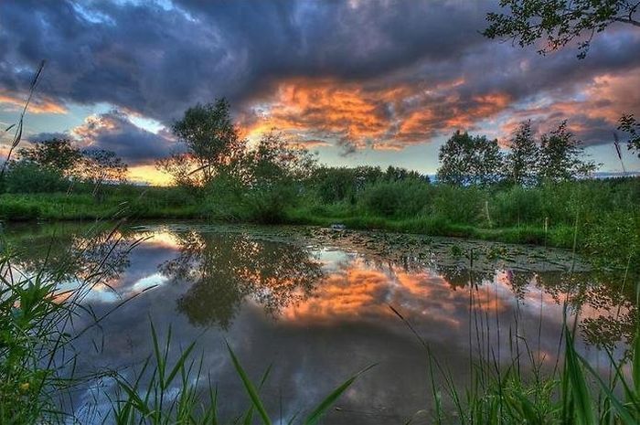 Шикарные отражения в воде (36 фото)