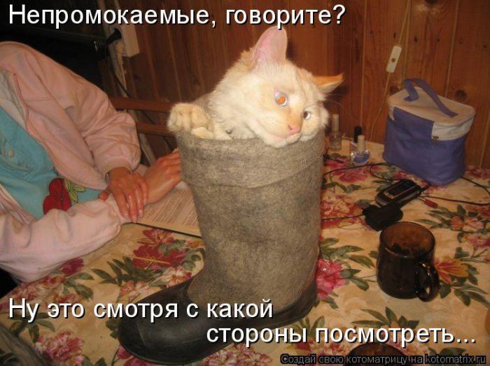 Мысли вслух :)