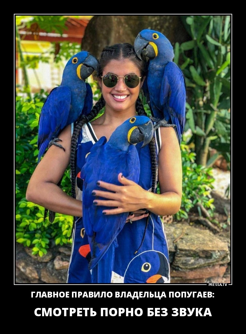 Веселые жизненные демотиваторы Веселые жизненные демотиваторы