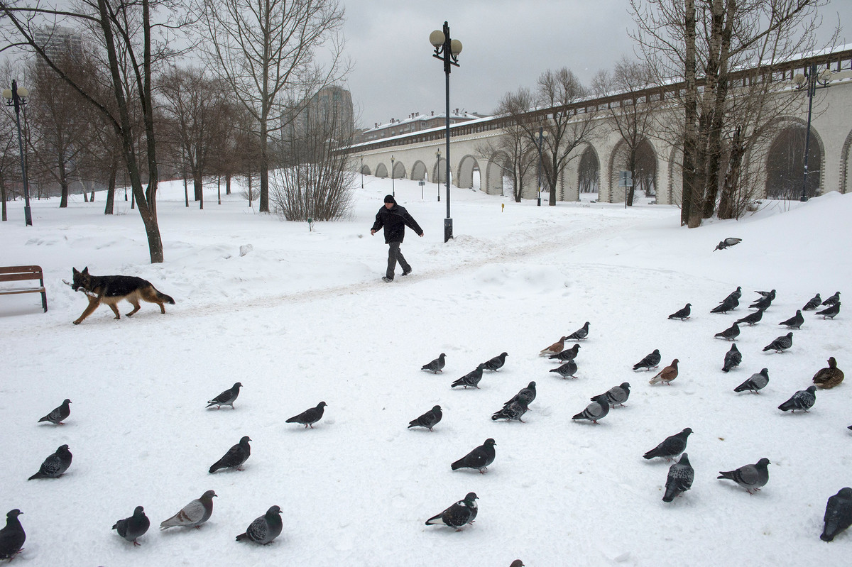 Просто Москва Артёма Житенёва Просто Москва Артёма Житенёва
