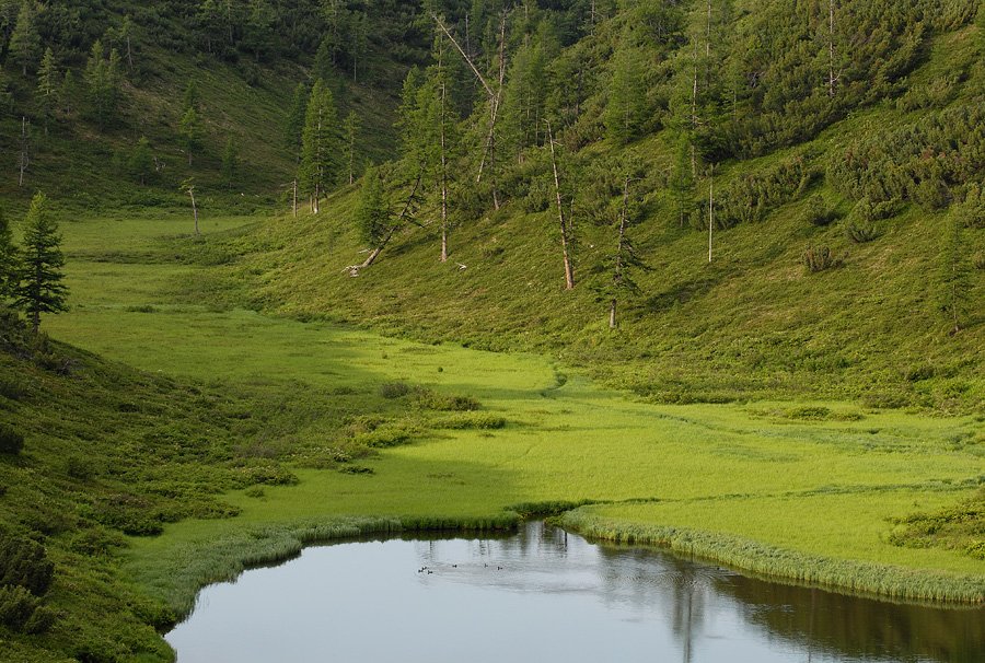 Кроноцкое озеро — как оно выглядит путешествия, вулканы, Камчатка, озера