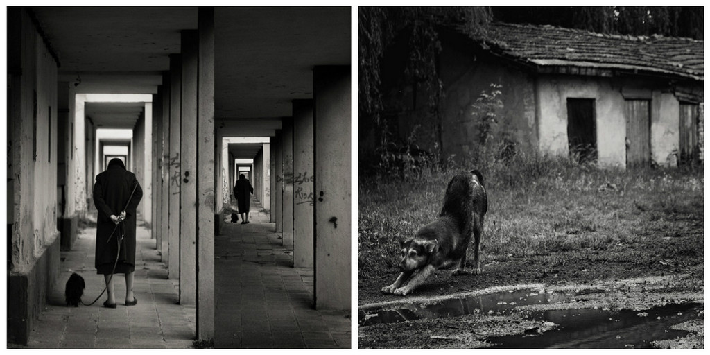 Чёрно-белые снимки с элегичными мотивами 