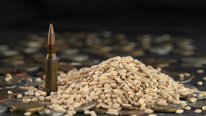 ДВОЙНОЕ ДНО ЗЕРНОВОЙ СДЕЛКИ: УКРАИНА ПРЕВРАТИТСЯ В АФГАНИСТАН