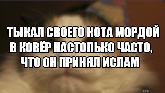 Веселые и прикольные моменты из нашей жизни в картинках с надписями картинки с надписями,прикольные картинки,смешные картинки,смешные комментарии,угарные фотки