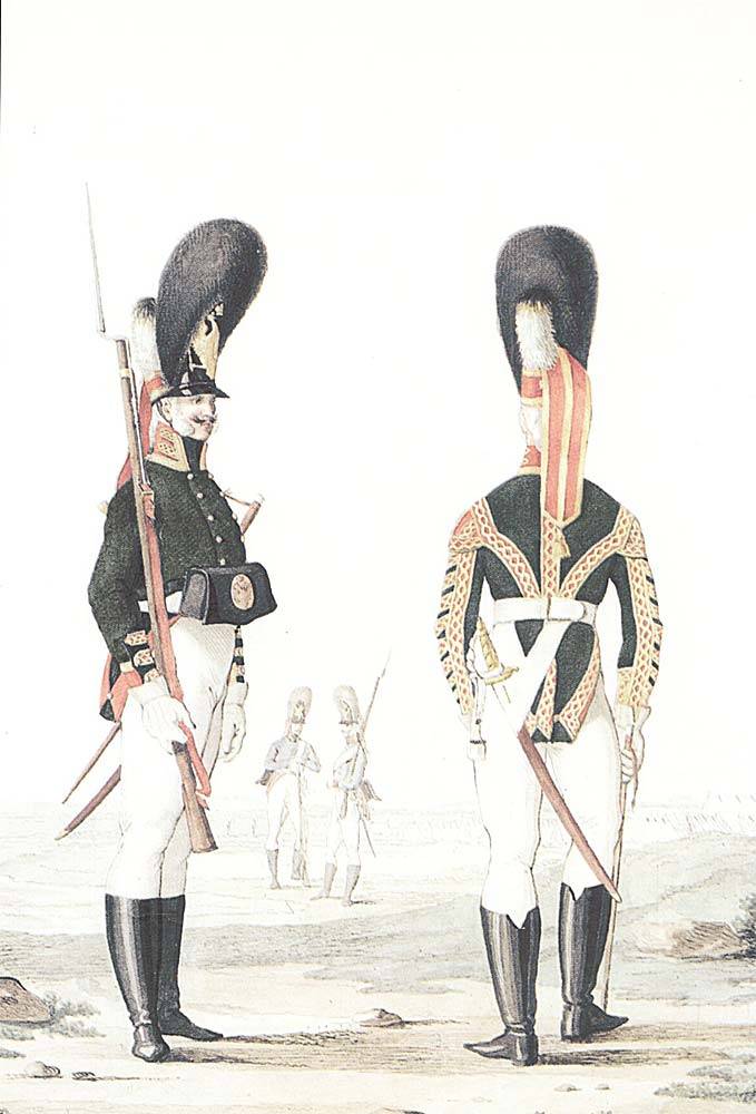 Военные моды Аустерлица: российская императорская армия Военные моды Аустерлица: российская императорская армия история