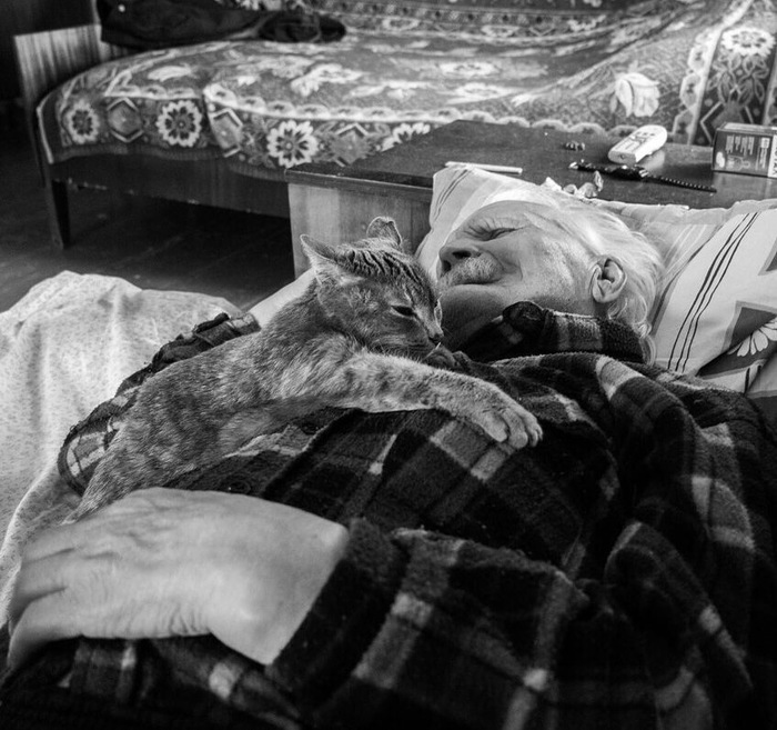 Белый Белый