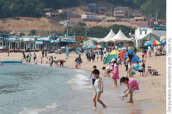Морские прогулки в Корее море,пляж,путешествие,южная корея