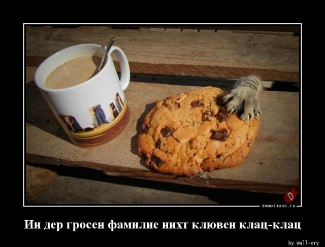 Демотиваторы прикольные для всех: «Начинайте свой день с чего-то положительного» 