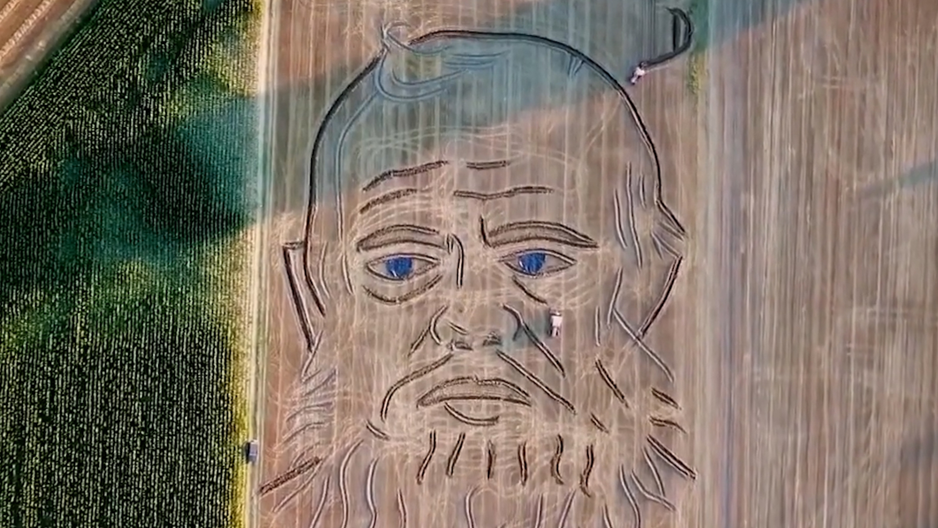 Огромный портрет Достоевского изобразили на пшеничном поле в Италии