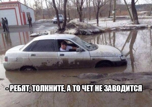 Приколы