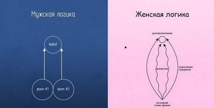 21 фото доказательств того, что женская логика непобедима! №2— просто до слез!