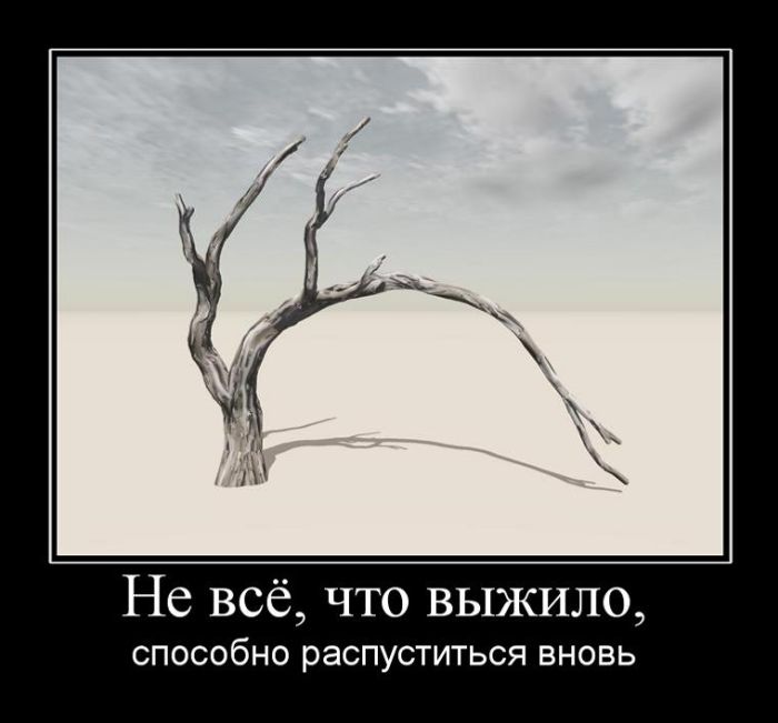 Прикольные и смешные демотиваторы для вечернего настроения со смыслом демотиваторы свежие,приколы,смешные демотиваторы,юмор