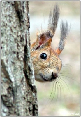 Зрядись позитивом!2 (40фото)