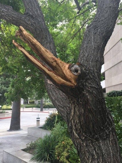 На позитивной волне! На позитивной волне!