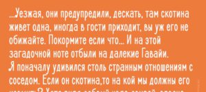 Потрясающе смешная история о новом дачном друге, которого полюбили все