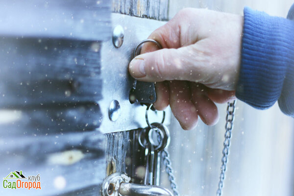 : depositphotos.com
