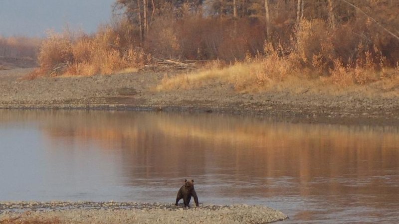 Плато Путорана 2016 г.: Пересечение с юга на север история, путешествие, факты