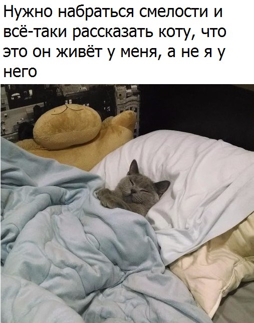 Новый год к нам мчится, скоро всё случится...) Новый год к нам мчится, скоро всё случится...)