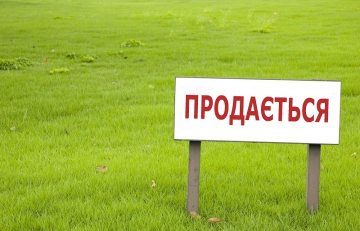 Украинские власти торопятся с продажей сельхозземель 