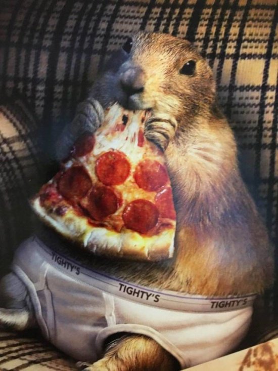 Фотоподборка вторника 