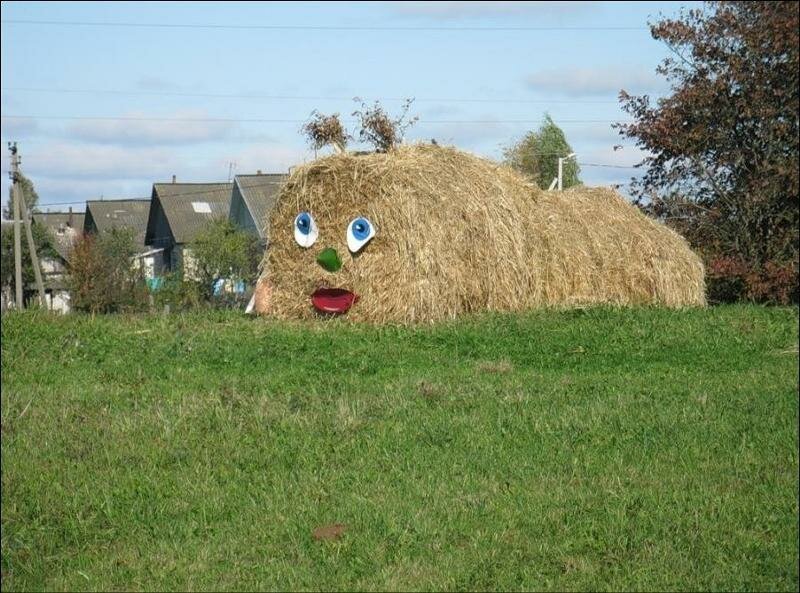 Когда нет денег, но есть фантазия Когда нет денег, но есть фантазия