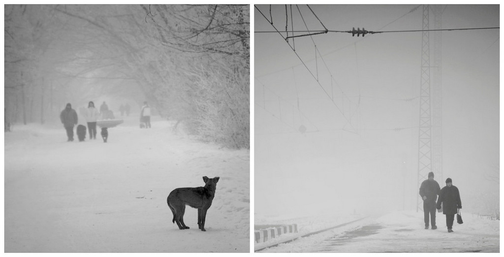 Чёрно-белые снимки с элегичными мотивами 