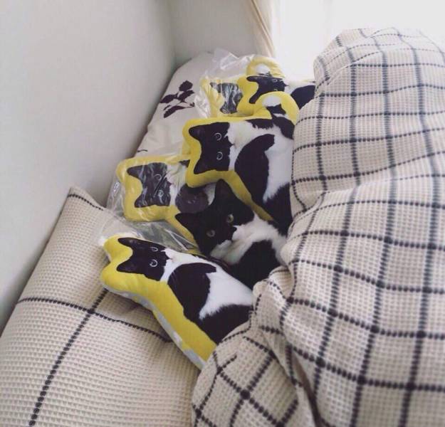 Подборка прикольных картинок Подборка прикольных картинок смешные картинки,фото-приколы,юмор