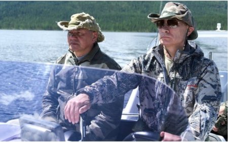 Силовой купол Шойгу....