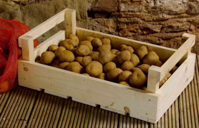 Как хранить картофель у себя в квартире в зимнее время идеи для дома,полезные советы