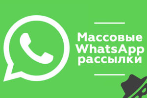 Как делать рассылку в WhatsApp