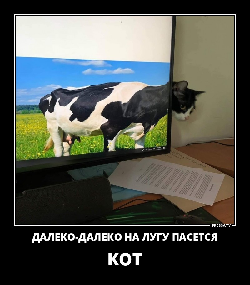 Веселые жизненные демотиваторы Веселые жизненные демотиваторы