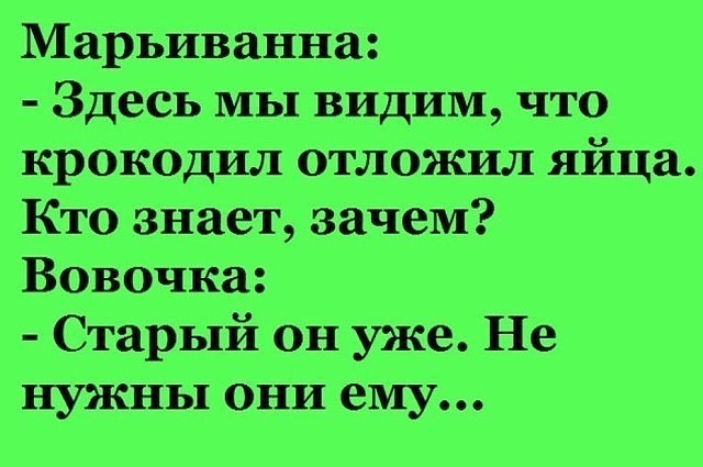 Бывает проснёшься посреди ночи и думаешь: ну и кошмар! А потом посмотришь на часы… Юмор,картинки приколы,приколы,приколы 2019,приколы про