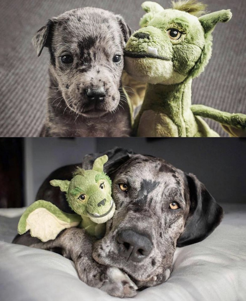 Душевные фотографии фотография