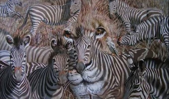 Какое животное вы увидели на картинке первым? Ответ многое расскажет о ваших скрытых чертах