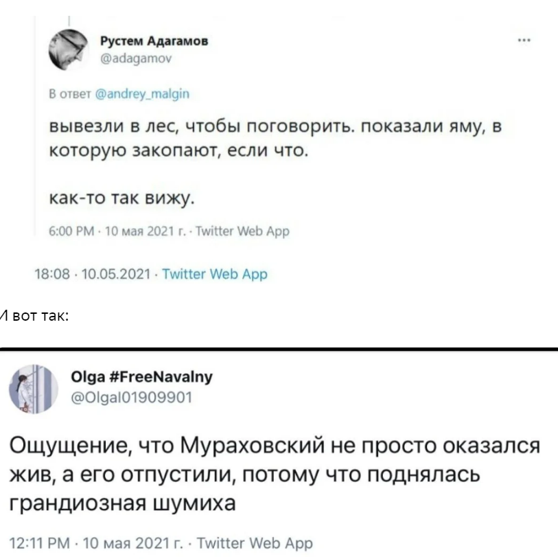 Еще одна версия про трагическую пропажу и счастливое обретенение "врача Навального"