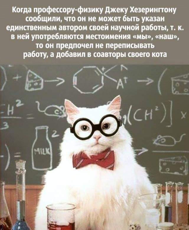 Когда жена кричит «Ты правда не понимаешь, почему я злюсь?», я подозреваю, что она тоже не понимает...) анекдоты