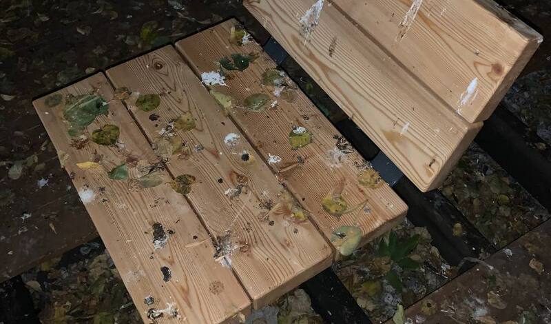 «Птичий» сюрприз: в новом парке в Уфе поставили скамейки прямо под гнездами грачей