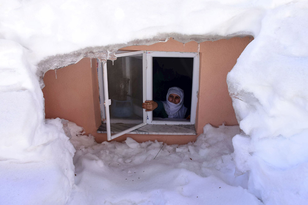 Юбилейная подборка интересных и веселых картинок №50 Юбилейная подборка интересных и веселых картинок №50 отдых